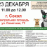 Вологодские зоозащитники организуют акцию по сбору вторсырья в Соколе - Региональное Агентство Новостей
