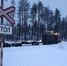 52-летний водитель проигнорировал знак STOP и протаранил тепловоз - Wobla.Ru