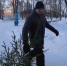 Мэр Сергей Воропанов призывает вологжан сдать новогоднюю елку на переработку - OnlineVologda.Ru