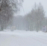 Фото группы OnLine Кичменгский Городок - Вологда-поиск