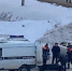 В Череповце устанавливают личность мужчины, тело которого нашли в лесу - OnlineVologda.Ru