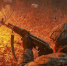 Фото: Министерство обороны РФ/VK - Вологда-поиск