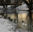 Freepik.com - Вологда-поиск