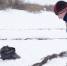 Фото пресс-служба городской администрации - Вологда-поиск