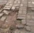 Фото: Павел Шабанов/VK - Вологда-поиск