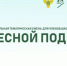 Поздравляем школьные лесничества "ФИЛИН" и "Нюкша" с победой - Департамент лесного комплекса