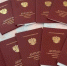 Обращение к выпускникам колледжей и техникумов начальника Департамента образования Вологодской области Екатерины Целиковой - Департамент образования
