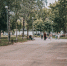 background - Вологда-поиск