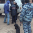 background - Вологда-поиск
