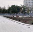 В центре Вологды будут яблони цвести - Gorodvo.Ru