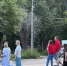 Ступят на сияющую полосу из бриллиантов: Тамара Глоба назвала только два знака, которые будут жить как в сказке - ProGorod35.Ru