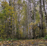 background - Вологда-поиск