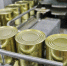 Более 500 тонн молочной продукции экспортировали предприятия Вологодской области за 10 месяцев этого года - Вологда.РФ