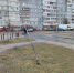 Вандалы из Водников подключились к программе по уничтожению зелени на улицах Вологды - Вологда-поиск