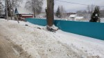 В Череповецком районе девушка-водитель врезалась в дерево
