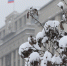background - Вологда-поиск