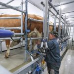 Данный показатель составляет более 40 % годового субсидирования сферы агропромышленного комплекса Вологодчины.