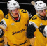 Фото: vk.com/hcseverstal - Вологда-поиск