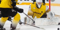 Фото: vk.com/hcseverstal - Вологда-поиск