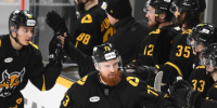 https://vk.com/hcseverstal - Вологда-поиск