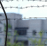 Под Волгоградом педофила отправили на 15 лет в колонию за сексуальное насилие - Комсомольская правда