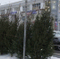 Фото Никиты Трушкова/Вологда-Поиск - Вологда-поиск