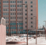 Фото Тимура Бойкова/Вологда-Поиск - Вологда-поиск