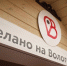 Продукцию вологодских производителей можно приобрести на субботней ярмарке (0+) - Вологда.РФ