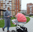 Молодые мамы Вологодчины, родившие первенца, могут получить единовременную выплату в размере 100 тысяч рублей - Региональное Агентство Новостей