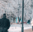 Фото Тимура Бойкова/Вологда-Поиск - Вологда-поиск