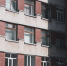 Фото Тимура Бойкова/Вологда-Поиск - Вологда-поиск