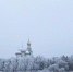 Фото Тимура Бойкова/Вологда-Поиск - Вологда-поиск