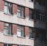 Фото Тимура Бойкова/Вологда-Поиск - Вологда-поиск