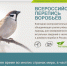 Более тысячи вологжан приняли участие в переписи воробьёв - OnlineVologda.Ru