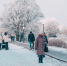 background - Вологда-поиск