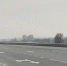 Вологда-поиск - Вологда-поиск