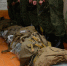 1700 призывников отправятся этой весной на военную службу из Вологодской области - Вологда.РФ
