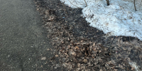 "Это ещё цветочки": Вильфанд поделился новым прогнозом на ближайшие дни - ProGorod35.Ru