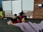 Мастер-класс (Международный день птиц)