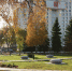 Жизнь в городах Вологодской области с каждым годом становится комфортнее - Правительство Вологодской области