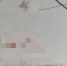 background - Вологда-поиск