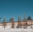 background - Вологда-поиск