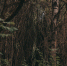 background - Вологда-поиск