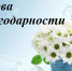 . - БУЗ ВО ВОПБ