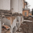 Фото Тимура Бойкова/Вологда-Поиск - Вологда-поиск