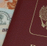 Фото Геннадия Хабарова/Вологда-Поиск - Вологда-поиск