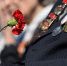 2,4 тысячи вологжан получили юбилейные выплаты в честь 80-летия Победы - Региональное Агентство Новостей