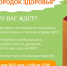 Первый в этом году «Городок здоровья» развернется в Вологде 31 мая - Региональное Агентство Новостей