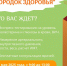 31 мая в Вологде откроется первый в этом году «Городок здоровья» - OnlineVologda.Ru