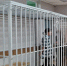 47-летнюю череповчанку арестовали за смертельное избиение соседки - Wobla.Ru